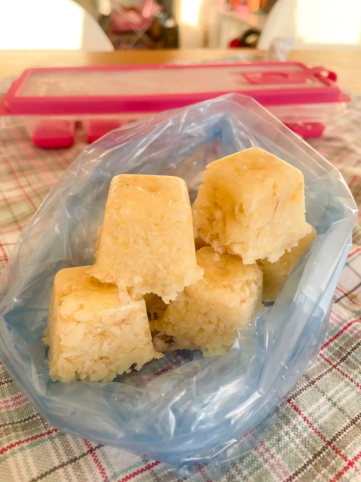 Alho triturado e congelado – Bimby